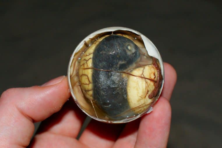 Balut plat philippines