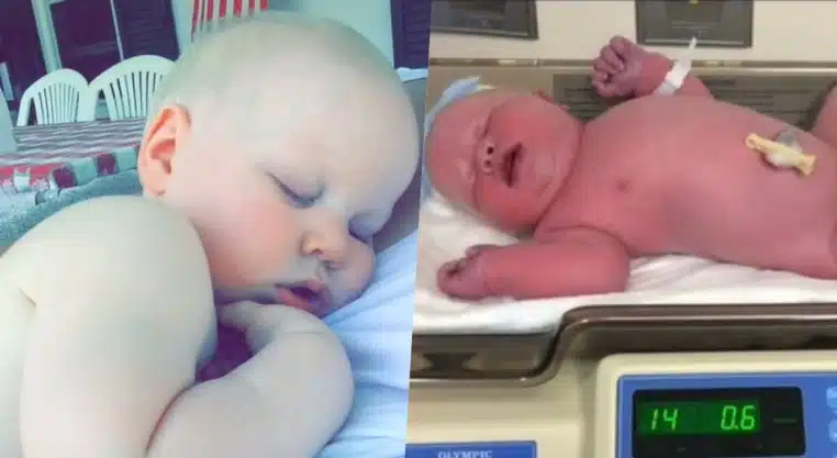 bébé
