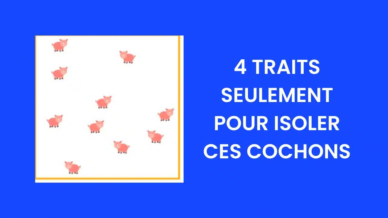 COCHON