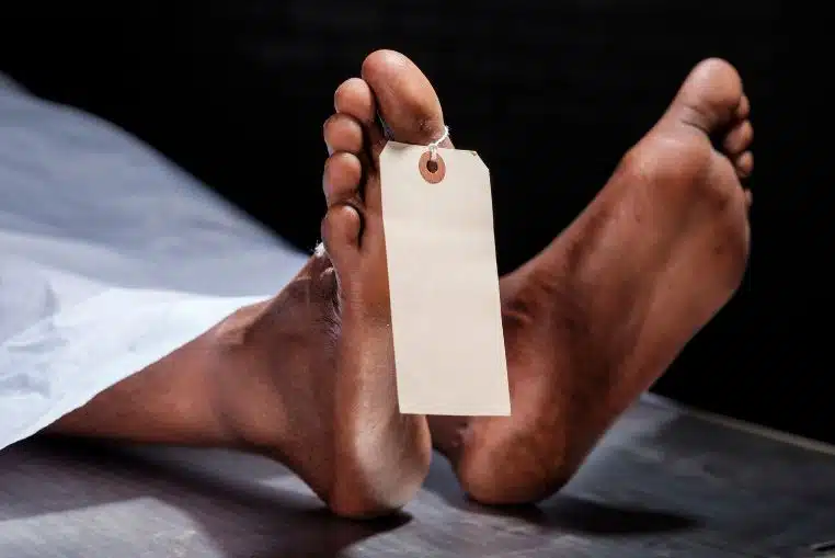 organes fonctionnement apres la mort (2)