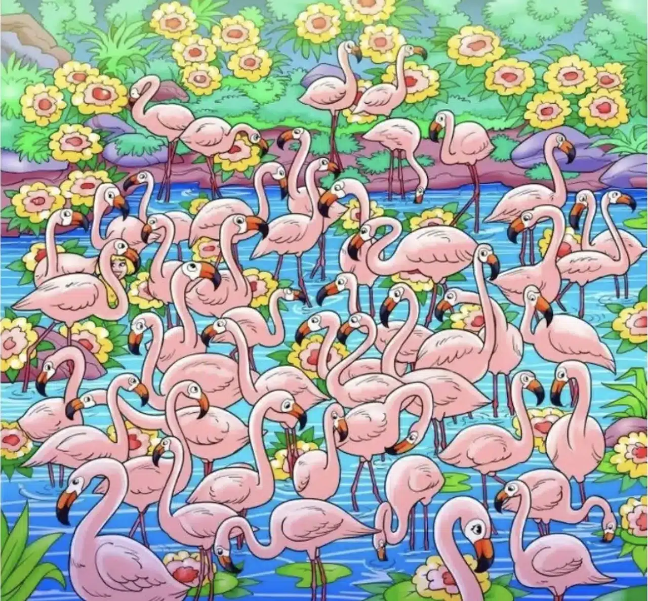 enigme-flamant-rose