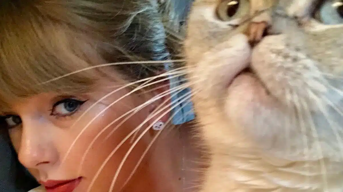 Taylor Swift - Olivia Benson - chat