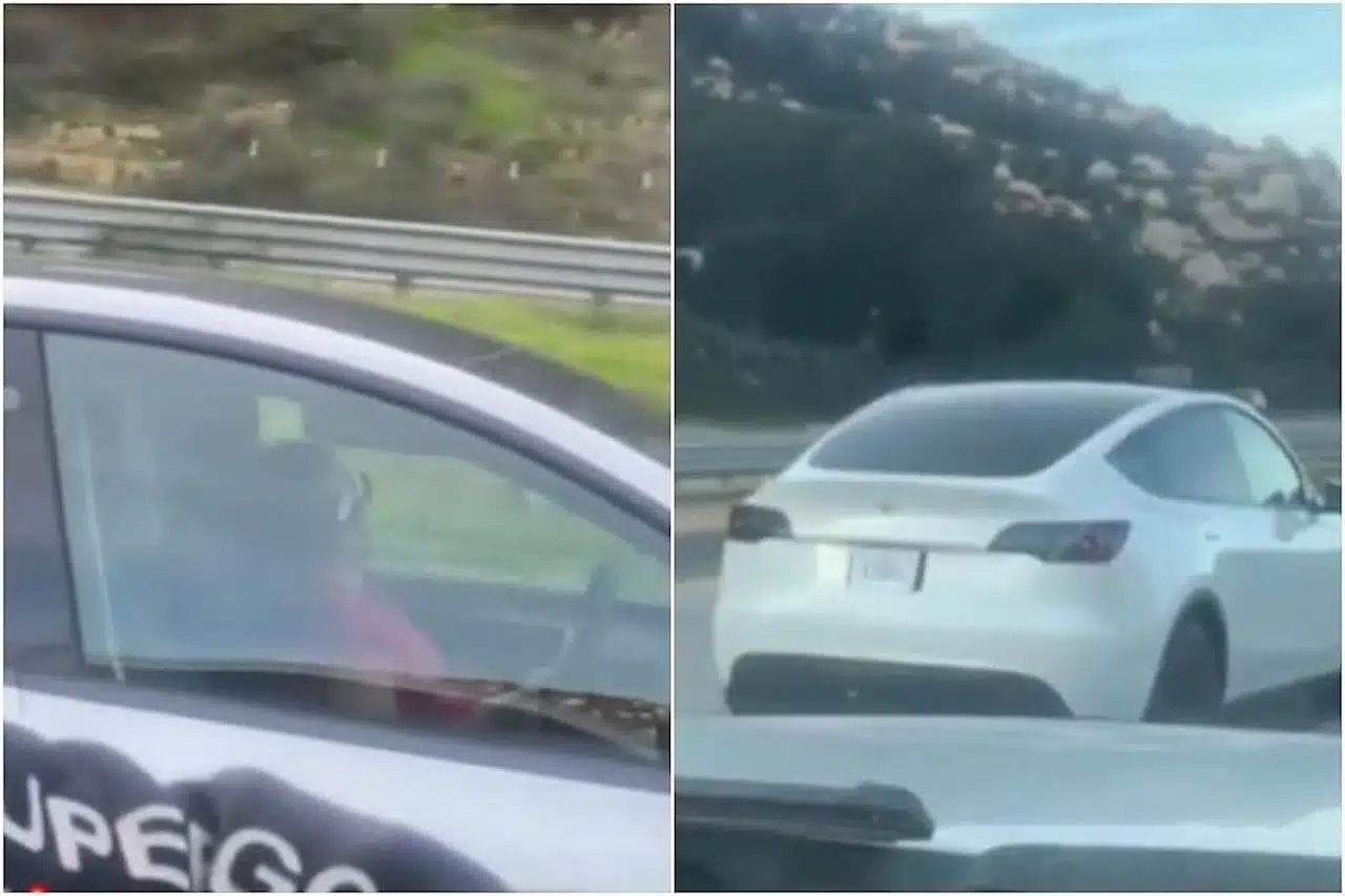 tesla dort