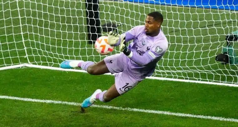 Mike Maignan hugo lloris gardien france équipe football foot irlande match réseaux sociaux