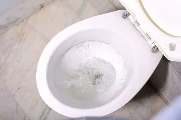 astuce tablette lave-vaisselle toilettes (2)
