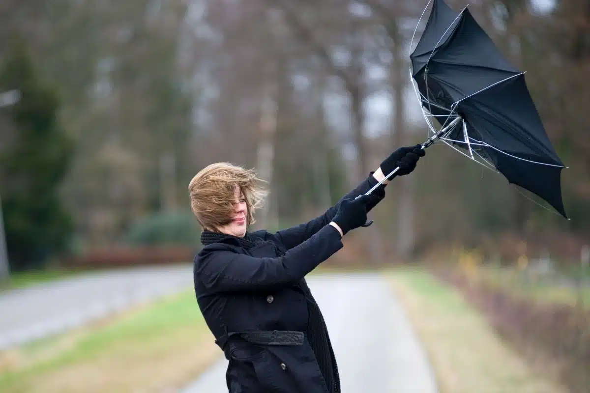 tempete france vent (1)