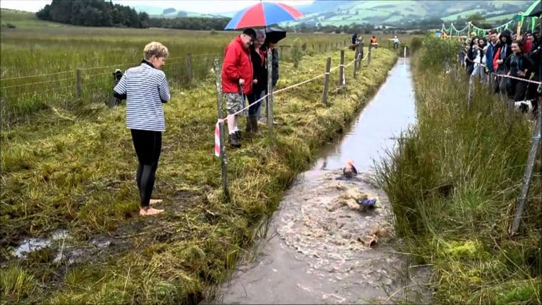 insolite natation pays de galles boue