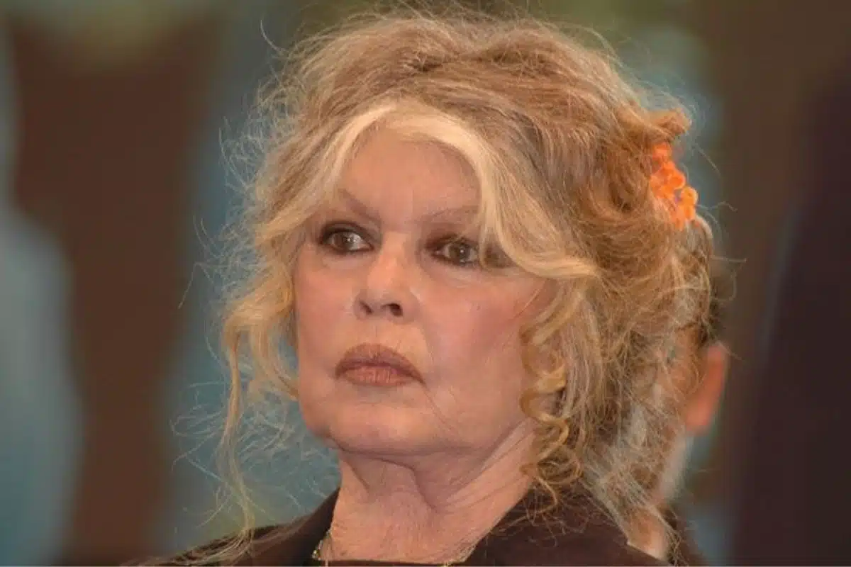brigitte bardot (2)