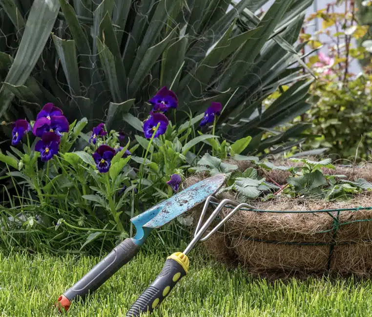 jardin branches loi amende risques jardinage
