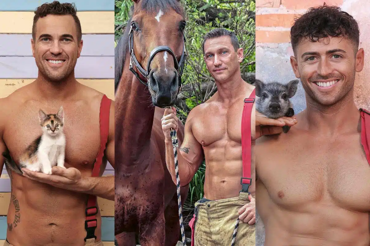 calendrier pompiers animaux 2024