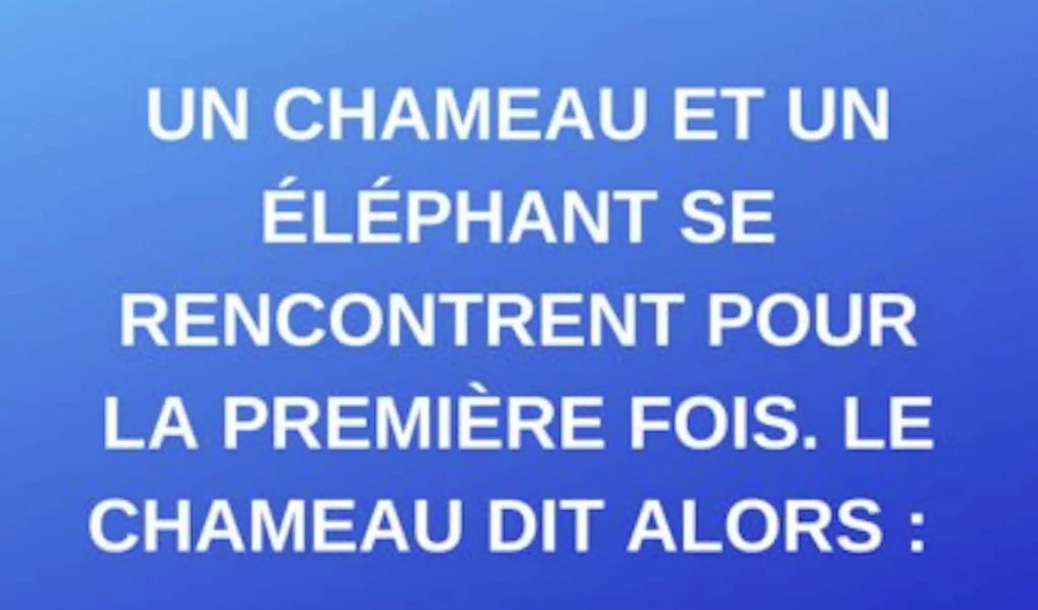 blague elephant chameau
