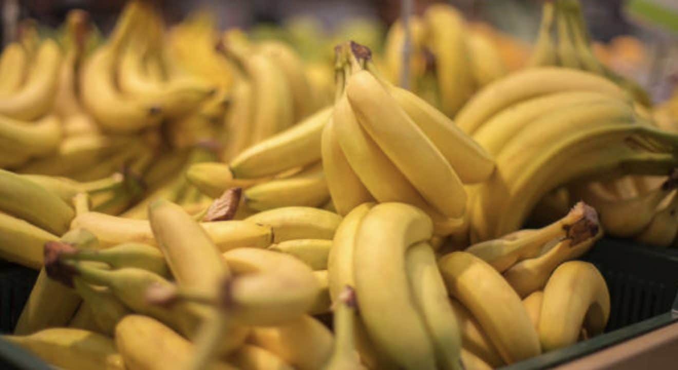 Image illustration des bananes au milieu de sachets de cocaïnes