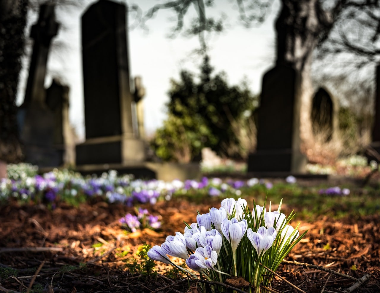 Image illustration des tombes dans des cimetières nettoyées par un jardinier accusé de vandalisme