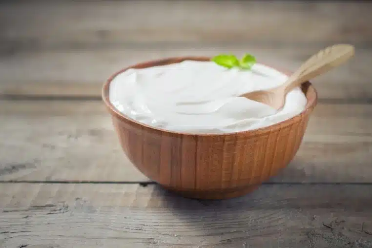 vegetarien aliment a avoir frigo yaouty