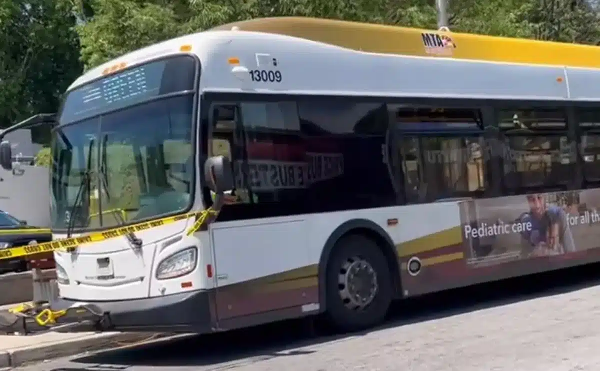 bus fœtus actu info