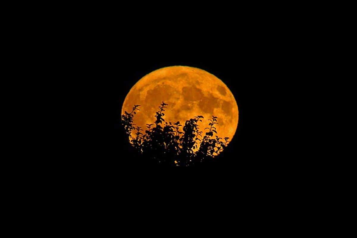 lune-pleine rosée rare moon