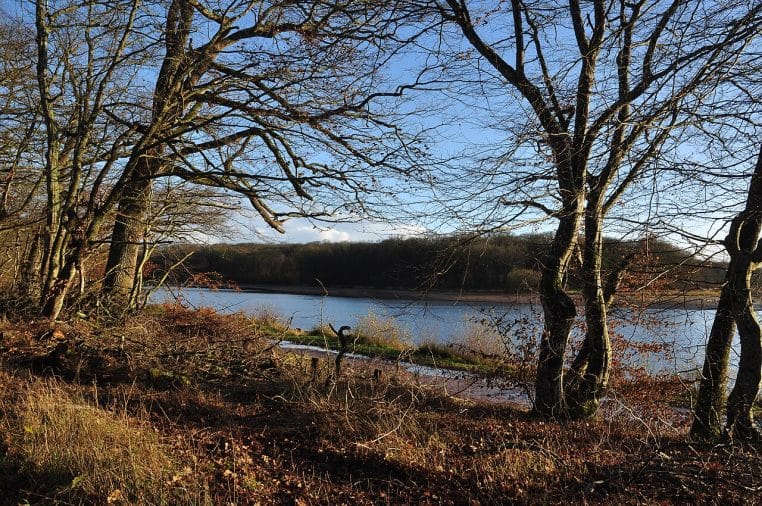 Forêt-de-Tronçais-Etang-de-PIROT