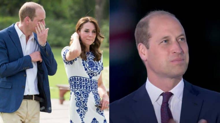 prince william demission