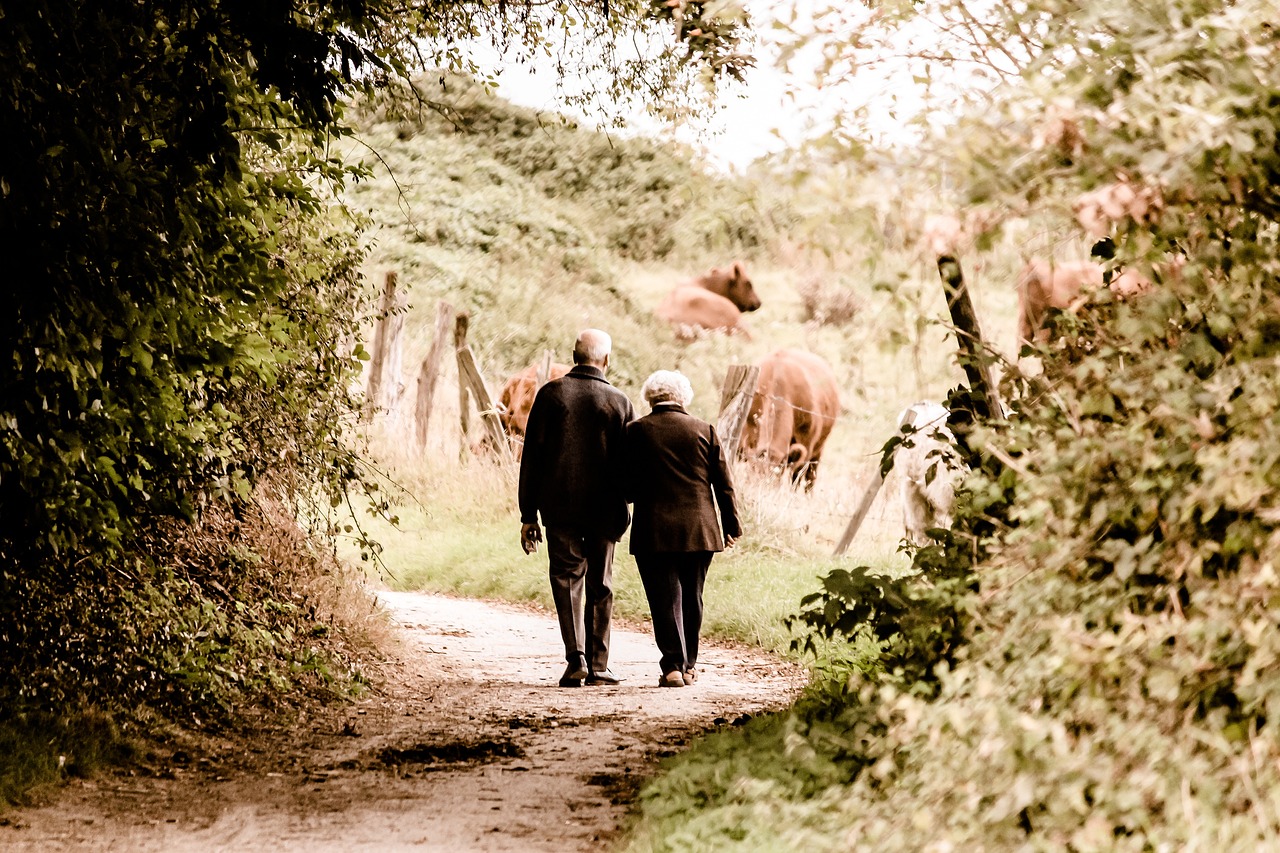 elderly, couple, walking, retraite, reversion