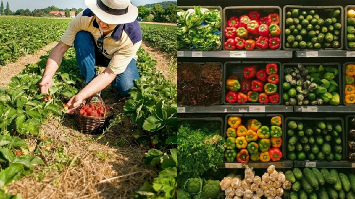 Arnaque sur les fruits et légumes vendus en France : ne tombez pas dans ce piège !