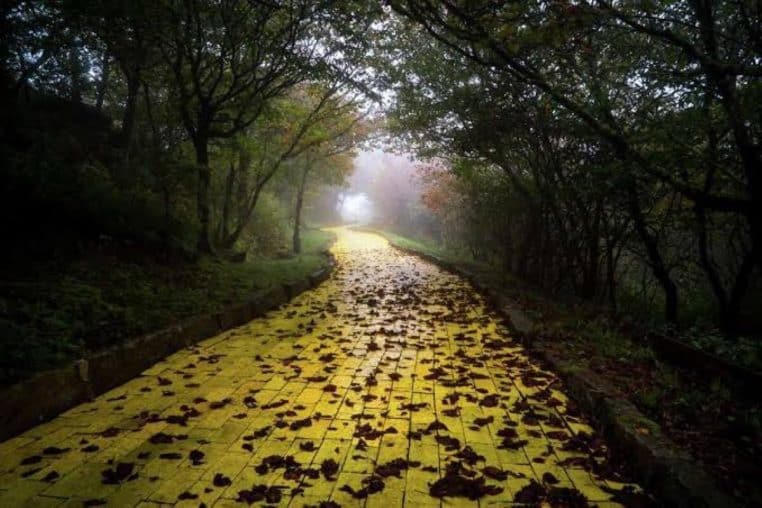 Land-of-os-parc-abandonné-chemin-jaune