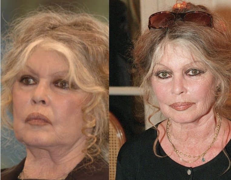 brigitte-bardot-revele-tout-prevu-mort-