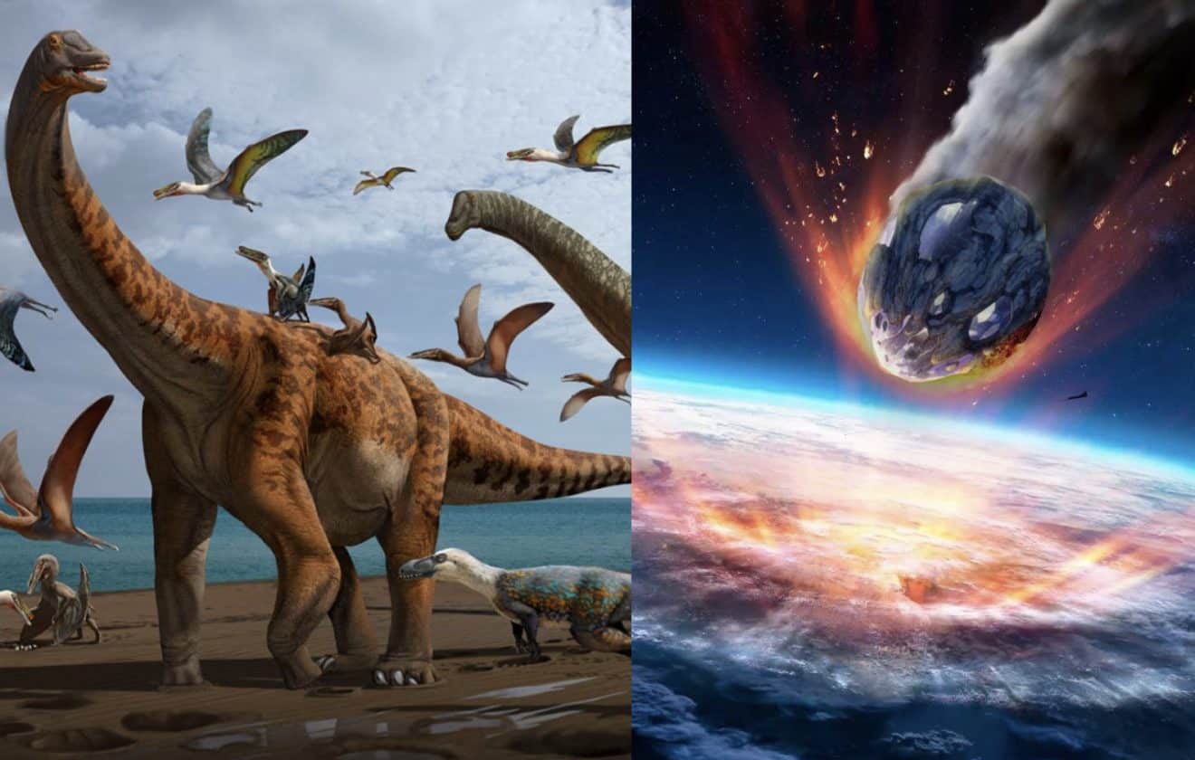 Image illustration on sait d'où vient l'astéroïde qui a tué les dinosaure