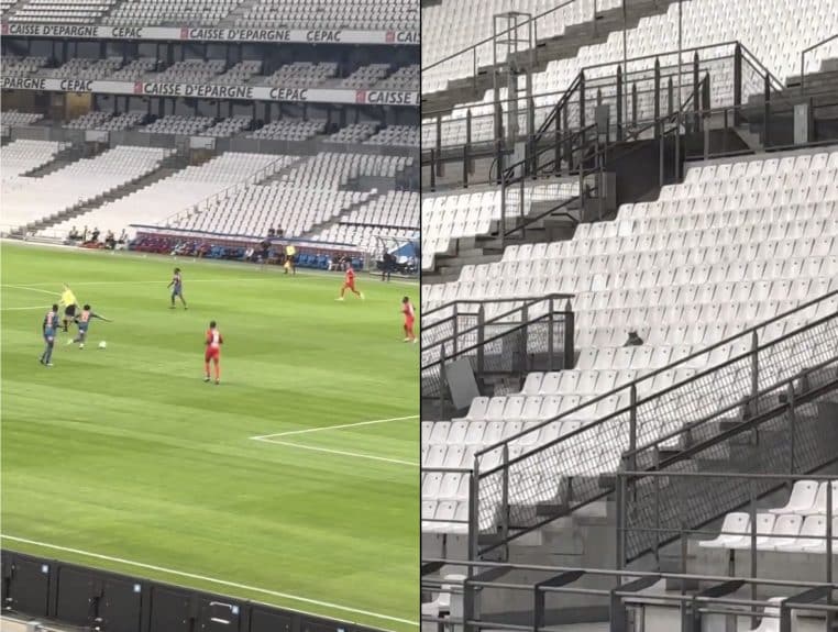 Image illustration le match Lorient contre Matignes assisté par un chat dans les gradins