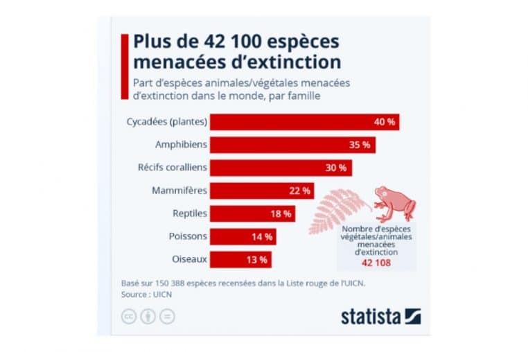 rechauffement climatique especes menacees