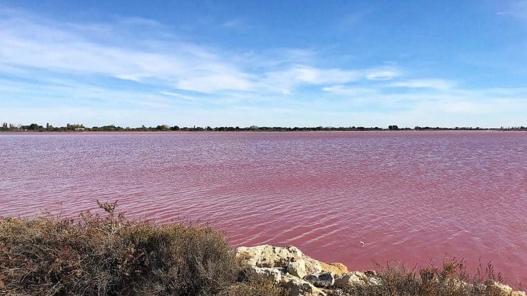 Les-Salins-Du-Midi-eau-couleur-insolite