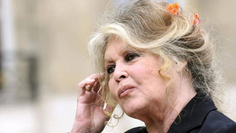 brigitte-bardot-confidences-vieillesse.jpg