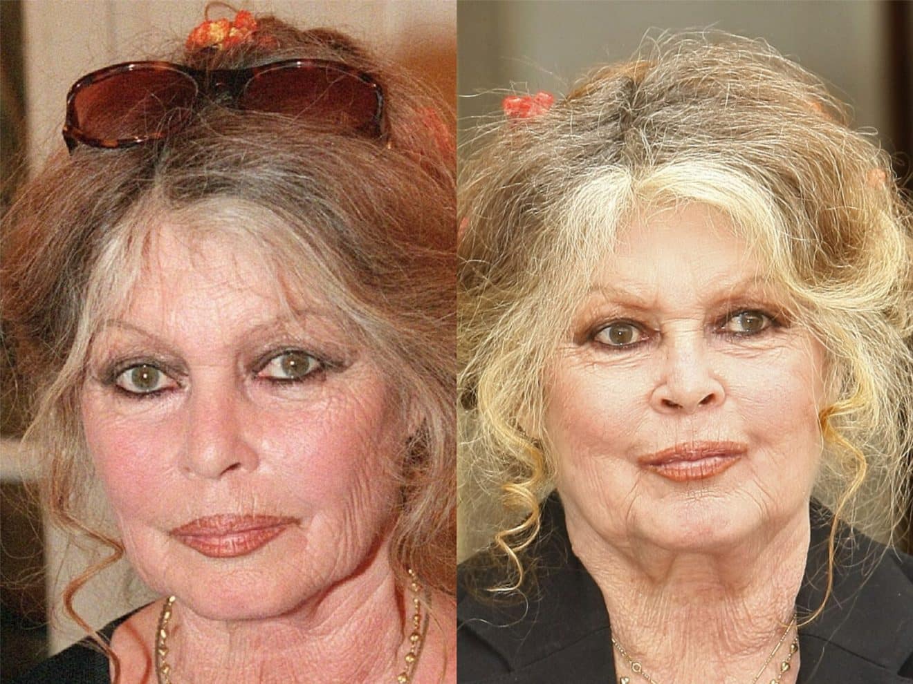 Le coup de gueule de Brigitte Bardot