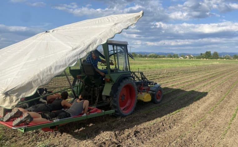 dos agriculteur info