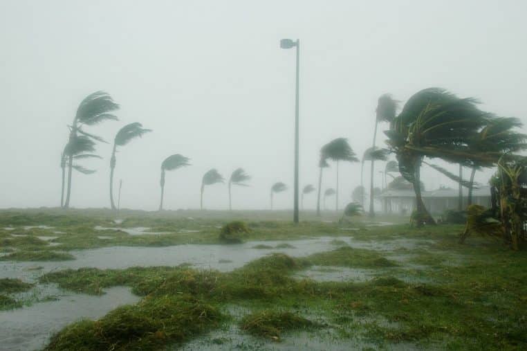 key west, florida, hurricane dennis