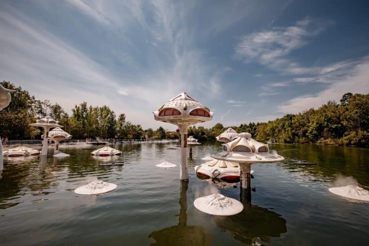 Des-champignons-venus-d’une-autre-galaxie-flottent-sur-l’eau