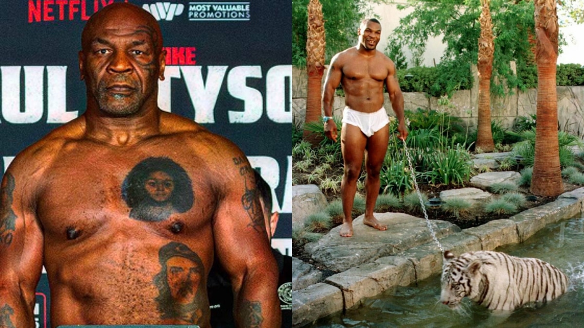 Mike Tyson nouvelle carriere