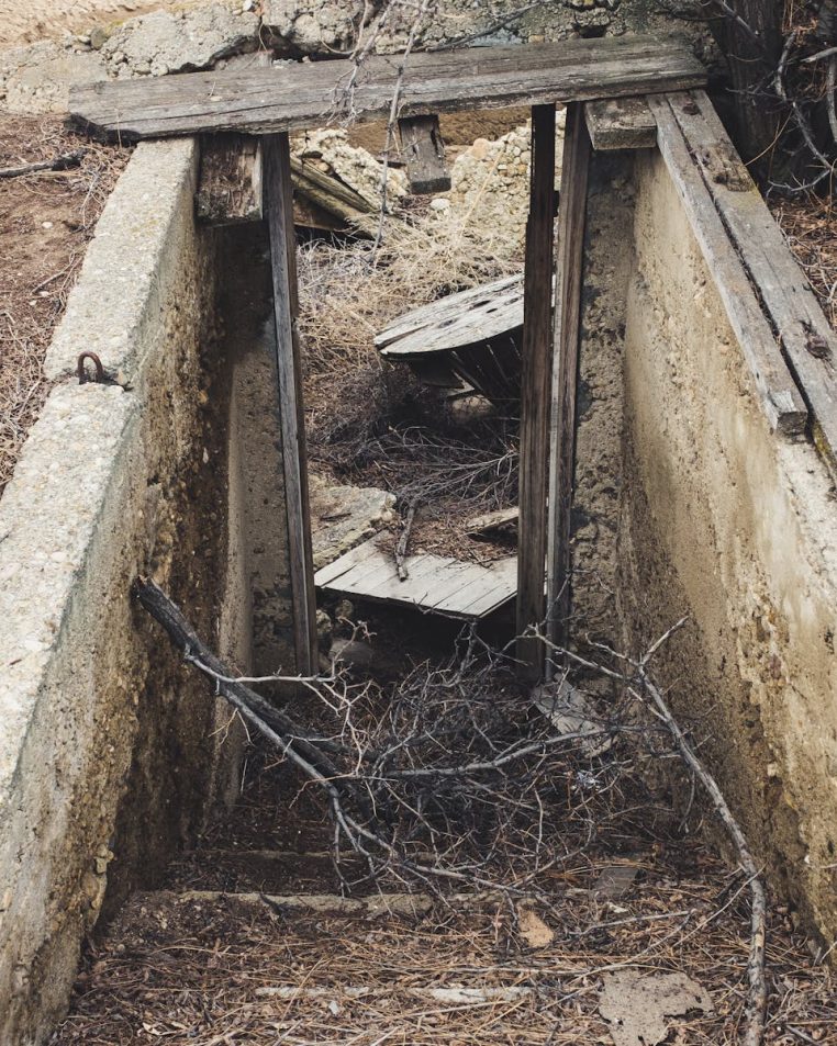 Rustic and weathered entrance to an old underground cellar amidst decay and overgrown branches.