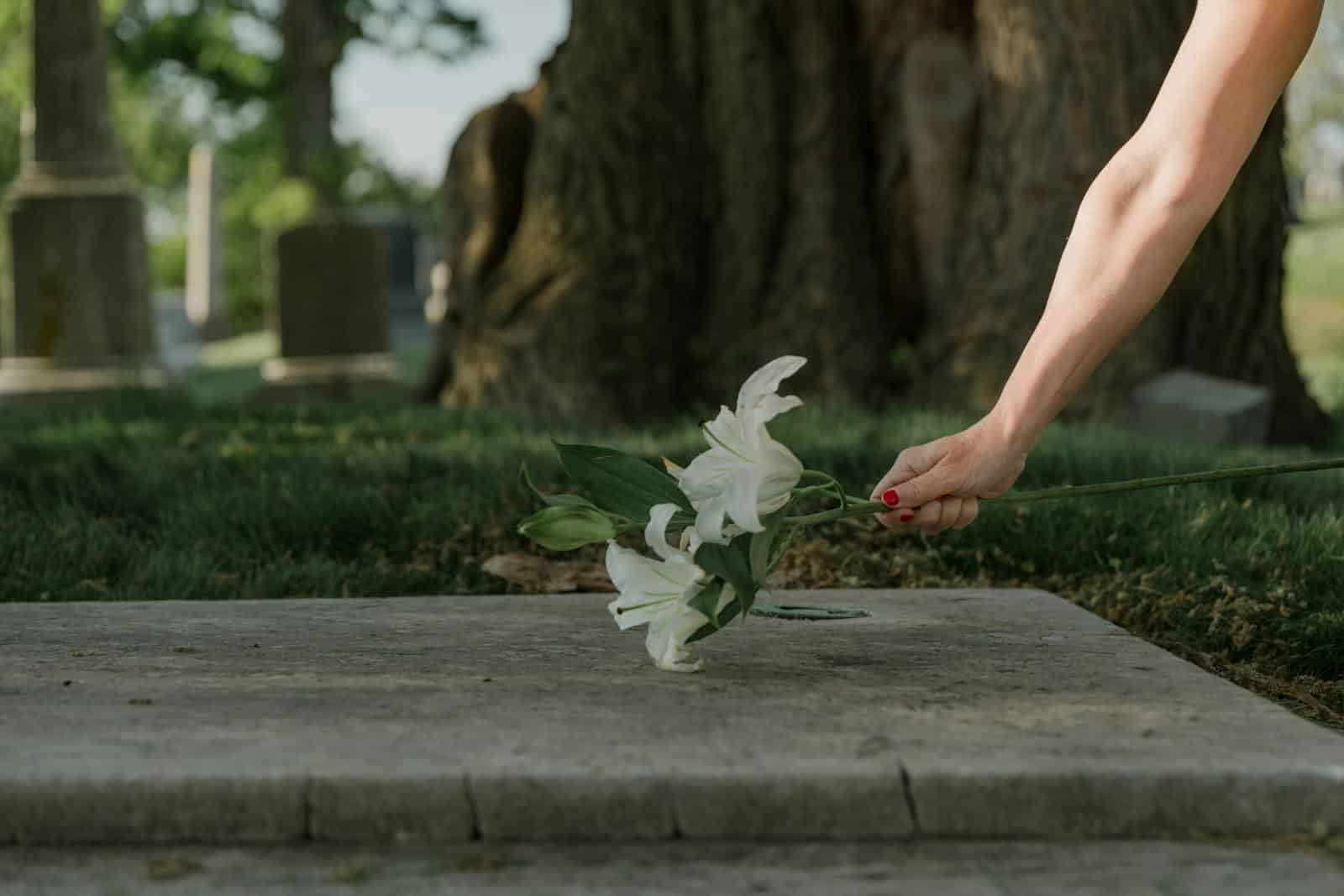 A solemn moment of placing white lilies on a cemetery gravestone, symbolizing loss and remembrance.