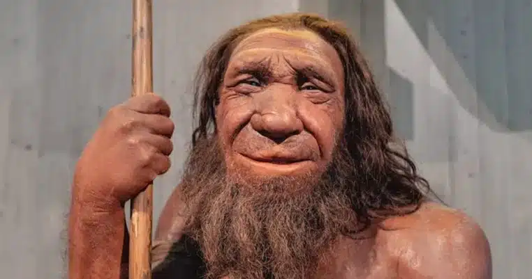 Homme neandertal