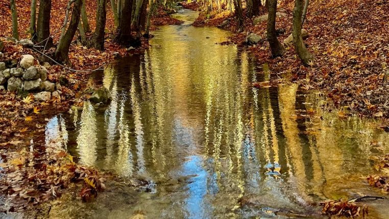 Un corps en morceaux retrouvé dans un ruisseau