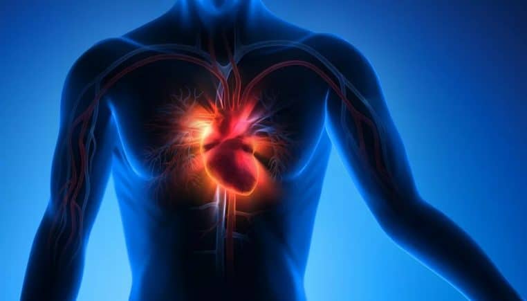 Cafe vs maladie cardiovasculaire