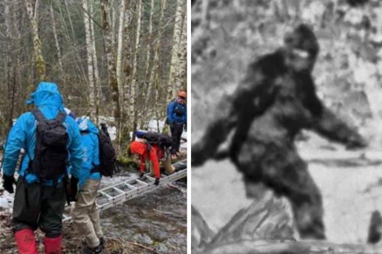 bigfoot recherche