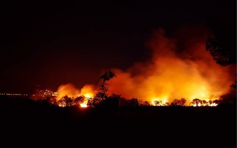 Une mère dévoile le dernier message de son fils, mort dans les incendies à Los Angeles