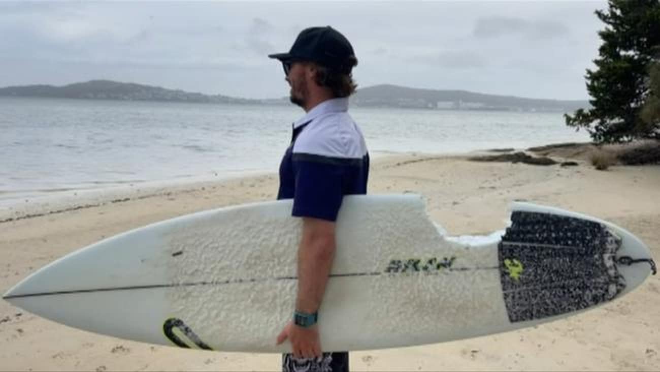 Un surfeur attaqué par un requin