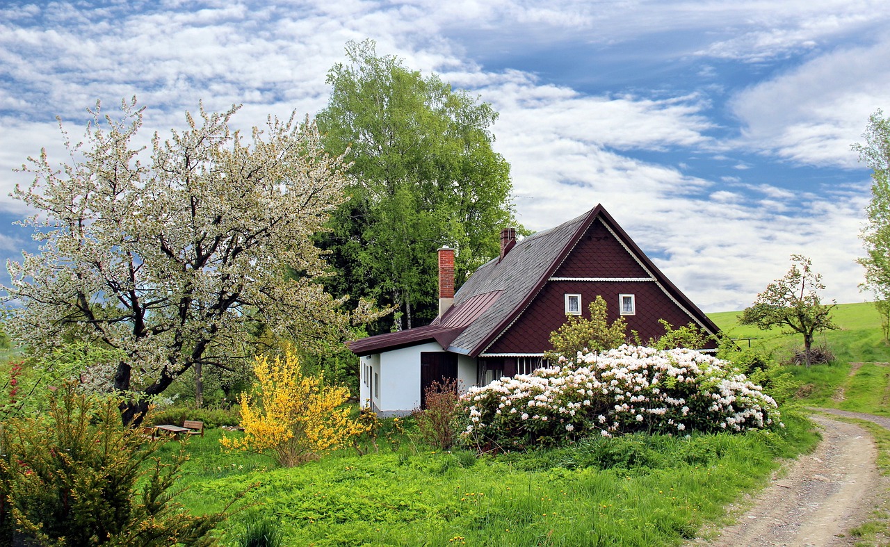 cottage, trees, path, trail, house, home, garden, grass, landscape, secluded, nature, cottage, house, house, house, house, house, home, home, home, garden, garden, garden, garden