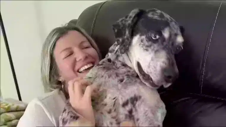 Femme Chien agressif
