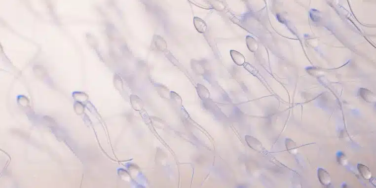 Homme allergique orgasme