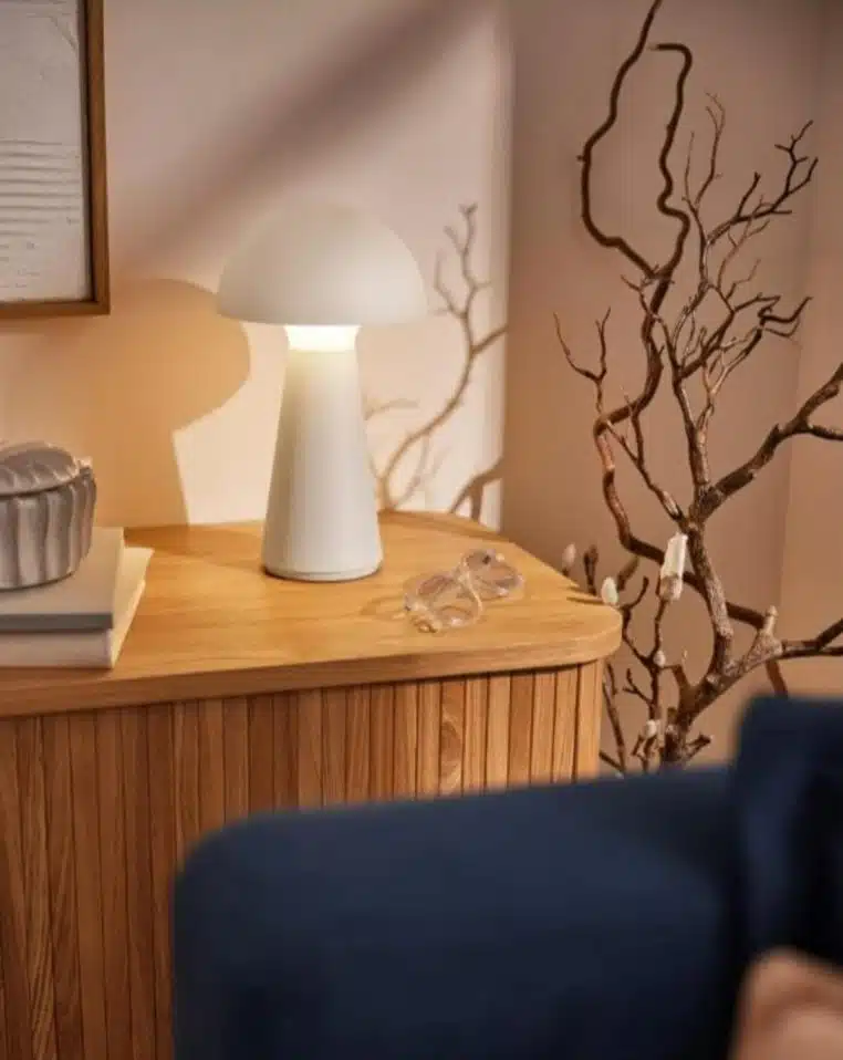 Une lampe design et pas chère pour la maison et le jardin 