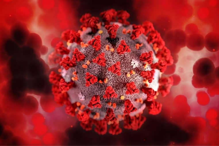 virus
