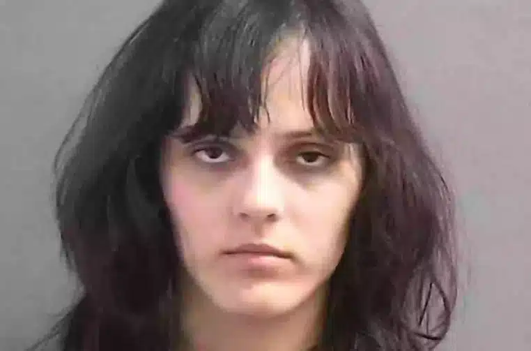 Femme vandale accusee